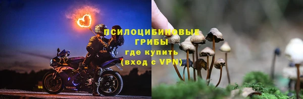 каннабис Горнозаводск