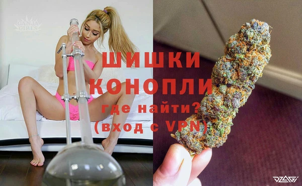 apvp Горно-Алтайск