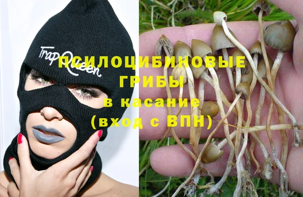 apvp Горно-Алтайск