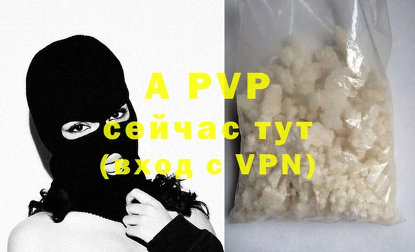 apvp Горно-Алтайск